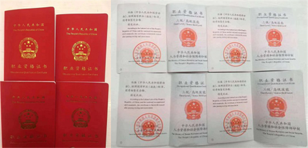 图片1_副本.png